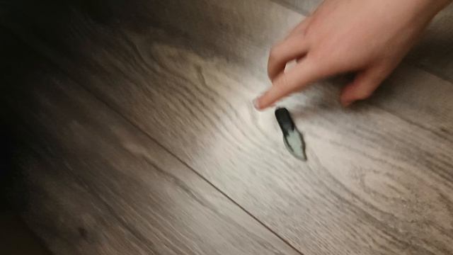 кавалерийский кинжал из пластилина!
#standoff 2