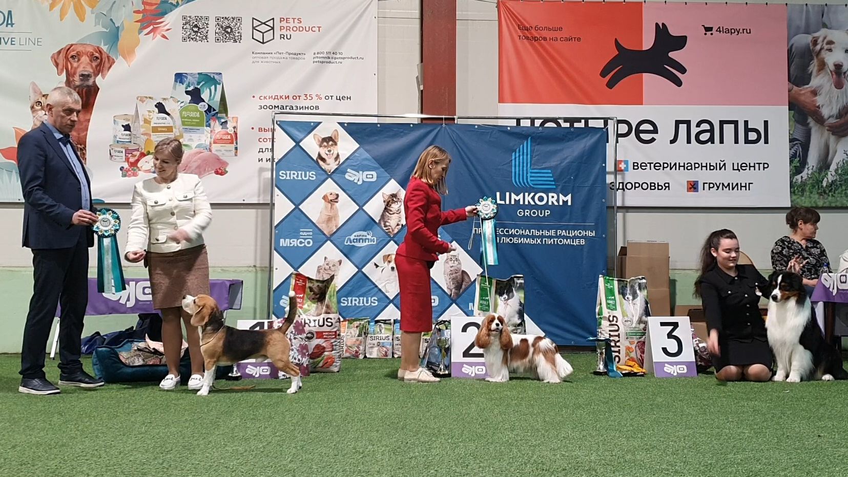 01.03.2026, СПб. Клуб "Нордвест-Северозапад-2" (РКФ,РФСС). Выставка собак "НОРДВЕСТ-ВЕСНА" (CAC, ЧФ)