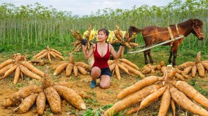 Используйте конную повозку, чтобы собрать много маниоки и продать ее жителям деревни на корм скоту.
