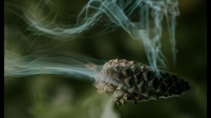 Blues Music - Two Worlds, One Goodbye - Morgan Luna - Memphis Blues