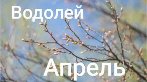 Таро расклад для Водолеев на апрель 2026 года