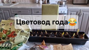 Цветовод года 😂 Сажаю нарциссы 🌼