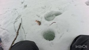 Рыбалка от 03.03.2026 1 часть