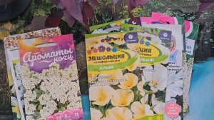 Семена цветов для белого цветника