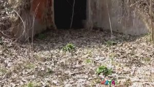 Заброшенный бункер в глухом лесу.