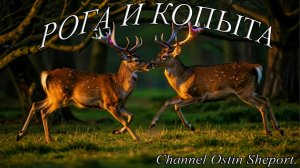 Рога и копыта. Часть №2. ОСТИН ШЭПОРТ 2026 ГОД.