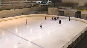 2014: Первенство СФО по хоккею среди юношей (день 1)