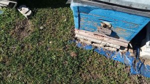 23 марта 2026г