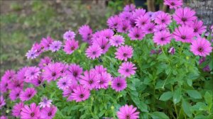 Главное слово дня. Какая мантра принесёт успех 24 марта.