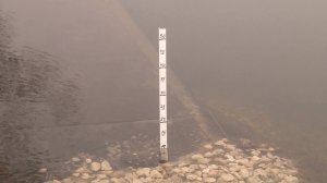 Вода прибывает: уровень Оки вырос на 12 сантиметров за сутки