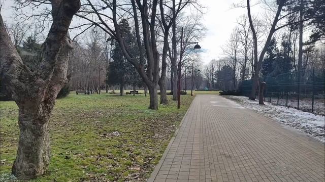 Как мысли материализуются/синхроничность Карла Юнга.