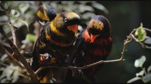 Сборник моих фотографий  2018 49 часть