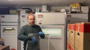 Сезон в разгаре. Инкубатор на две коробки куриного яйца. Интернета нет, записывайте на листок.