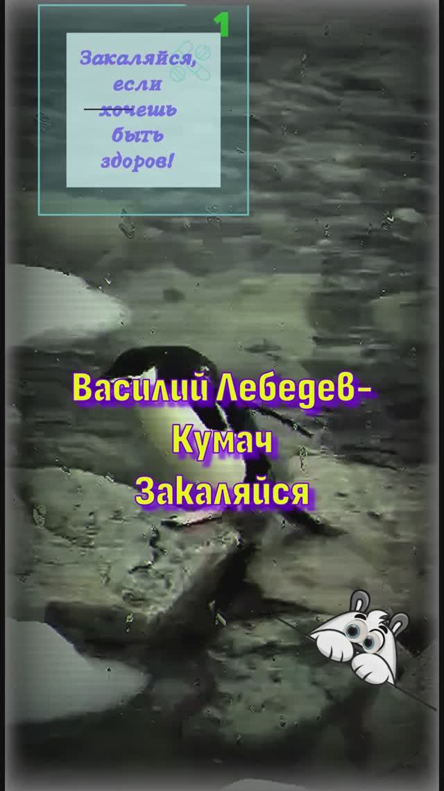 закаляйся песня первая перчатка фильм творчество #юмор