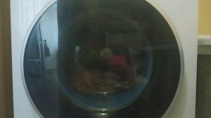 стирка вещей на программе Ежедневная 20°c 1000 об/мин