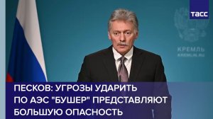 Песков: угрозы ударить по АЭС "Бушер" представляют большую опасность