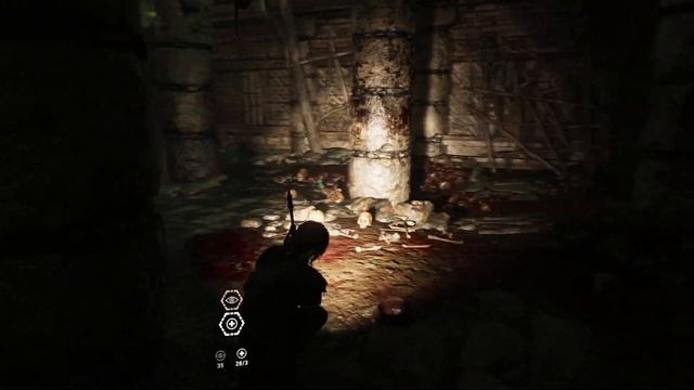 Shadow of the Tomb Raider №5