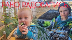 Жизнь в Алтайской деревне простой семьи. Пришла весна, а с ней заботы и некоторые проблемы.