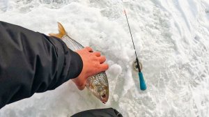 ЛЕСКА НА ПРЕДЕЛЕ ОТ ТАКИХ БАТОНОВ. КРУПНЯК КЛЮЁТ на безмотылку. Рыбалка зимой 2026