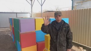 Новый проект с ульями Лысонь