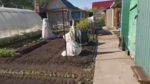 ПРУД СВОИМИ РУКАМИ 08 мая 2023_г. Едем в город на поющие фонтаны