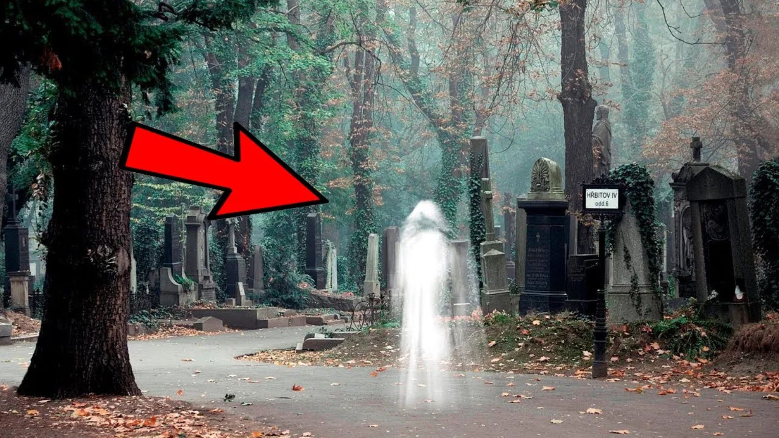 5 Мистических Видео В ОТЛИЧНОМ Качестве. Мистика. Реальные кадры