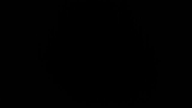 Хаммас и Хусситы