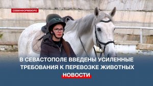 В Севастополе усилили контроль за вывозом животных за пределы региона