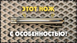 ЗАЧЕМ ОНИ ЭТО СДЕЛАЛИ? Складной Нож WE Knife Nightblade CPM-20CV