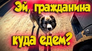 Веселье на Забайкальск))) $1698