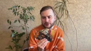 Лев - 23-31 марта. Гороскоп. Случится то, от чего у вас будет шок