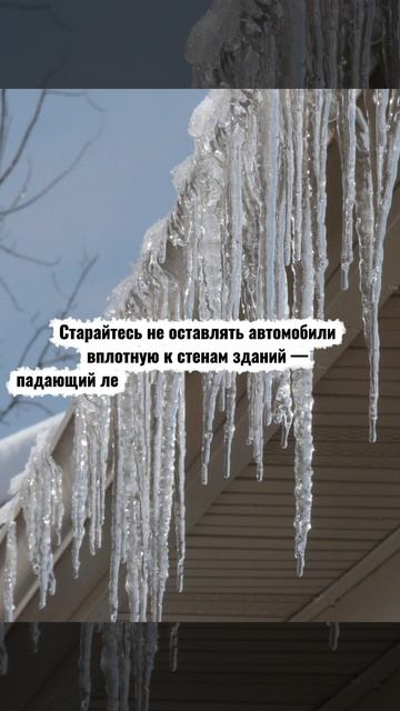 Безопасность в марте