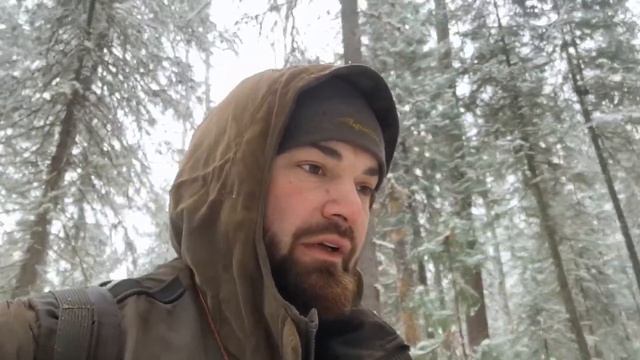 Охота на лося и гибель собаки