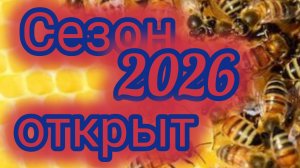 Сезон 2026 открыт 🐝