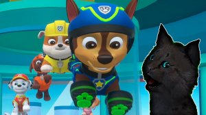 СУПЕР КОТ И СУПЕР СОБАКИ СОБИРАЕМ НЕ ДОСТАЮЩИЕ КОСТОЧКИ #14 🐱 Mighty Pups Save Adventure Bay #247