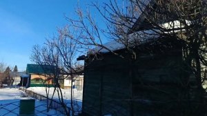 По сугробам на дачу