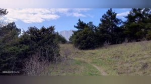 Весна в Ялте 2026г