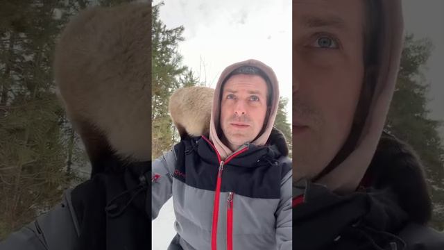 Дмитрий Крашенинников в прямом эфире!