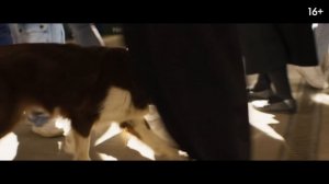 Космическая собака Лида | В кинотеатре «Москва»