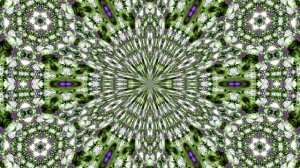 Видеофоны! Видеофон Подснежники 6! Футаж от Киностудии Мудрого Кота Тимофея!