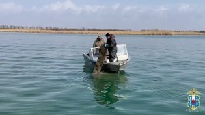 Ростовские полицейские вызволили из ловушек браконьеров и вернули в водоёмы более 9 тысяч раков