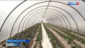 11.30 – «Вести. Адыгея» от 23.03.2026г.