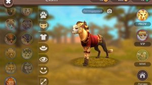 ЧТО МАЕМУ ГЕПАРДУ НАДЕТЬ?