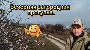 Вечерняя загородная прогулка.