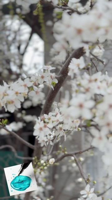 🌸Полюбуйтесь какая красота! Моя 45-весна в розовой дымке! А ваша весна какая?😉 #крым #весна