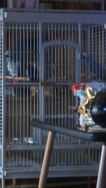 ВО  ДАЁТ  ...🍏🍎🍉