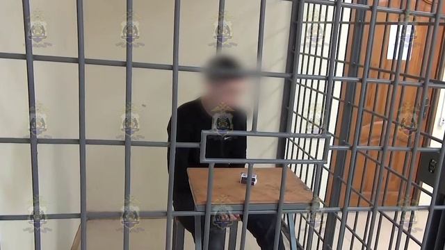 На Новгородчине полицейские задержали дроппера, забравшего у 4 жителей региона более 450 тыс. рублей