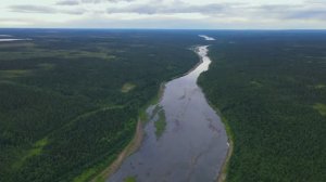 ЛОВЛЯ ГОРБУШИ НА КОЛЬСКОМ ПОЛУОСТРОВЕ