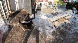 Подробности увольнения, Обмыл доплату, Пластическая операция для папы, докувыркался до малька'