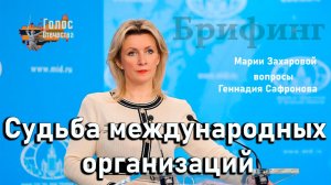 Судьба международных организаций — Геннадий Сафронов на брифинге МИД